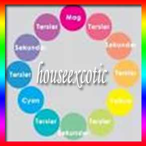 Materi X My House is Very Exotic